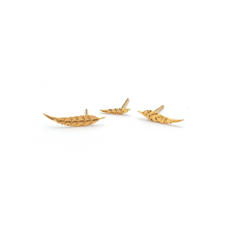 Trio Puces Feuilles